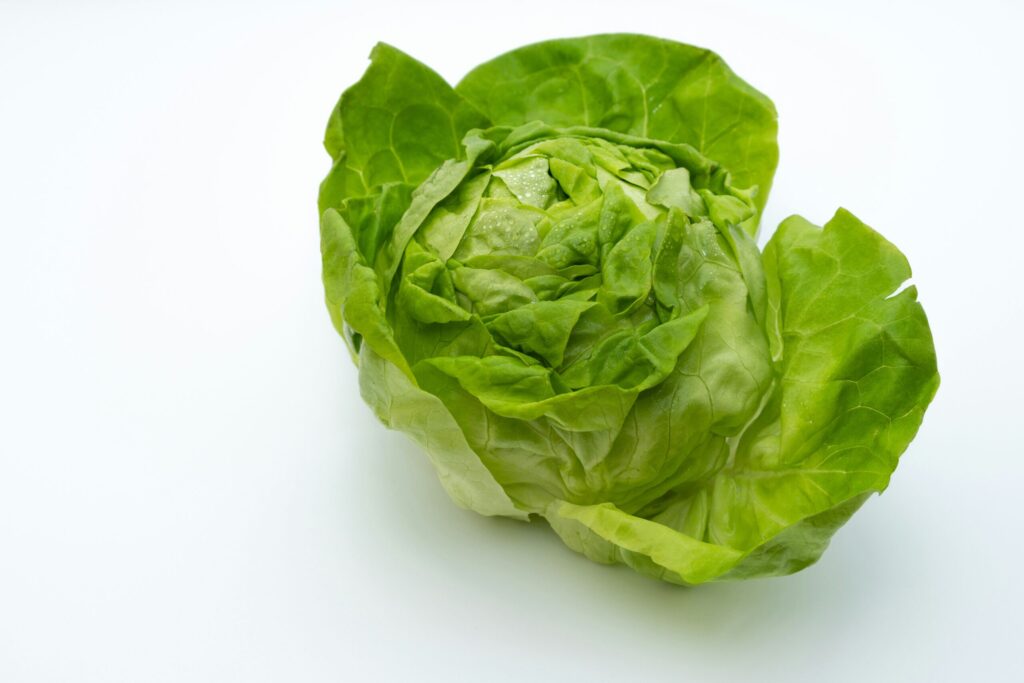 Vegetables gabriel mihalcea 5MU 4hPl67Y unsplash scaled 1