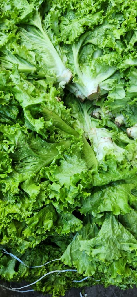 Vegetables i baihaqi Dthu0rFIp9s unsplash scaled 1