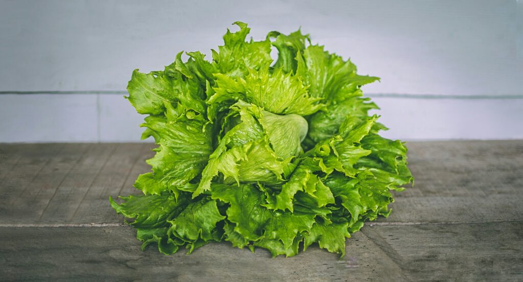 Vegetables jef wright 1qnIDA6gZ1g unsplash