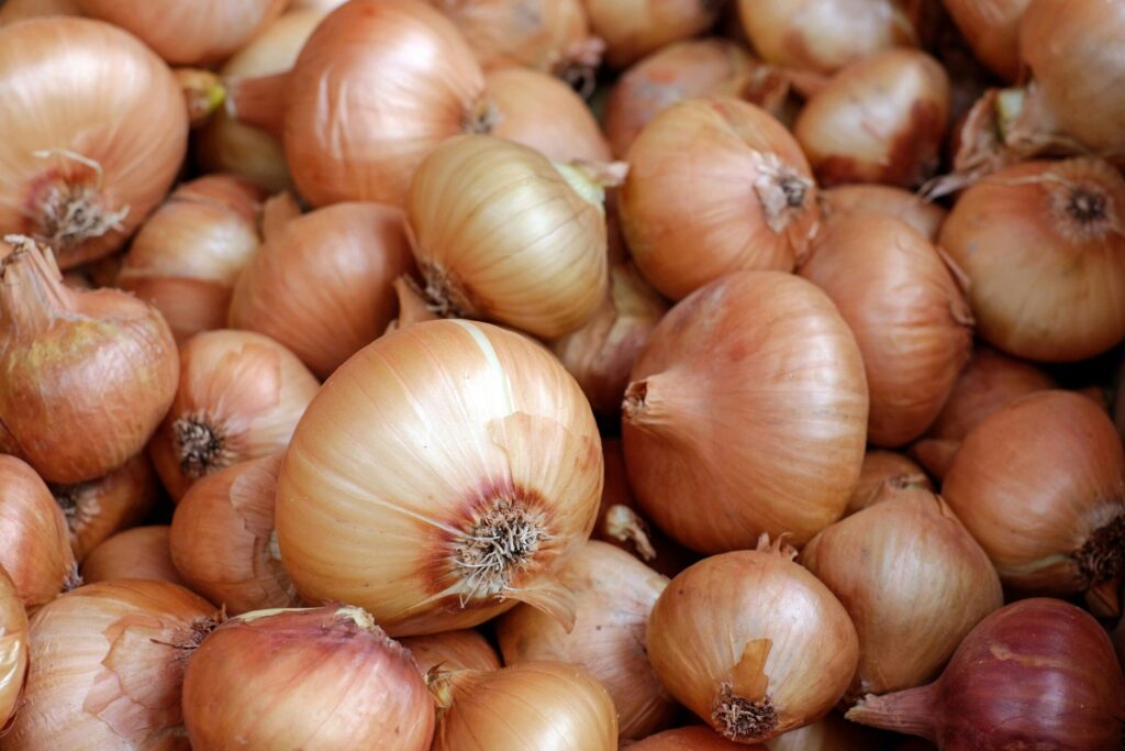 Vegetables mayu ken CNZ 9s5p2i8 unsplash scaled 1