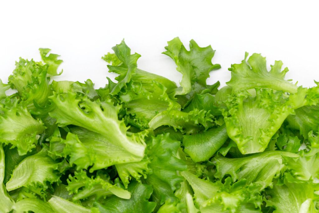 Vegetables petr magera YLeRHRiRgts unsplash scaled 1
