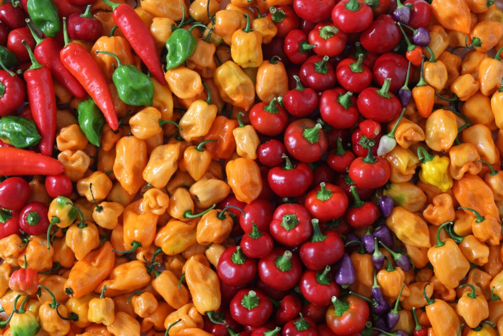 Vegetables randy fath ZaLUzigr0mc unsplash scaled 1